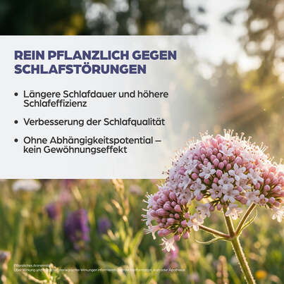 Dr. Böhm® Baldrian, A-Nr.: 6057432 - 08