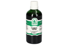PEKANNUSS TROPFEN 100 ML, A-Nr.: 5902865 - 01
