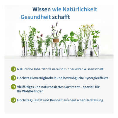 N-Zymarase® Inflam Kapseln, A-Nr.: 5926825 - 05