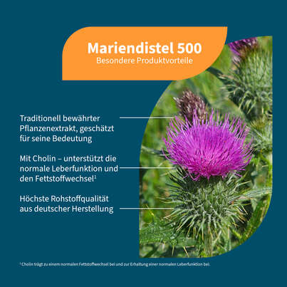 Sie sehen eine Packung NatuGena Mariendistel 500, Produktbild: 02 NatuGena Mariendistel 500, A-Nr.: 6110379 - 02