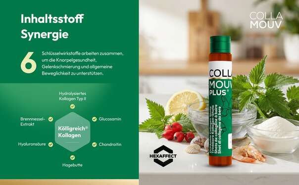 Sie sehen eine Packung CollaMouv Plus®, Produktbild: 05 CollaMouv Plus®, A-Nr.: 6118079 - 05