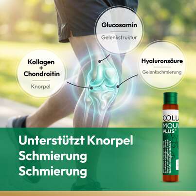 Sie sehen eine Packung CollaMouv Plus®, Produktbild: 06 CollaMouv Plus®, A-Nr.: 6118079 - 06