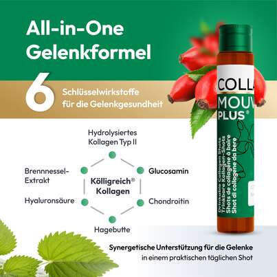 Sie sehen eine Packung CollaMouv Plus®, Produktbild: 04 CollaMouv Plus®, A-Nr.: 6118091 - 04