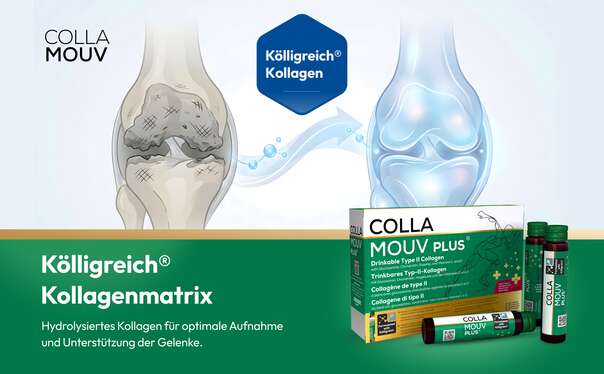 Sie sehen eine Packung CollaMouv Plus®, Produktbild: 10 CollaMouv Plus®, A-Nr.: 6118091 - 10