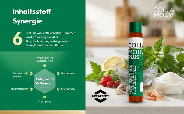 Sie sehen eine Packung CollaMouv Plus®, Produktbild: 11 CollaMouv Plus®, A-Nr.: 6118091 - 11