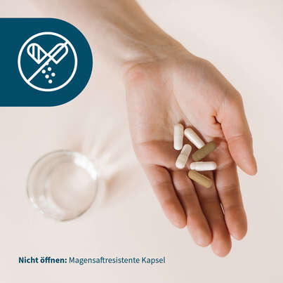 NatuGena BactoGena SR &amp; C Kapseln, A-Nr.: 6040331 - 07