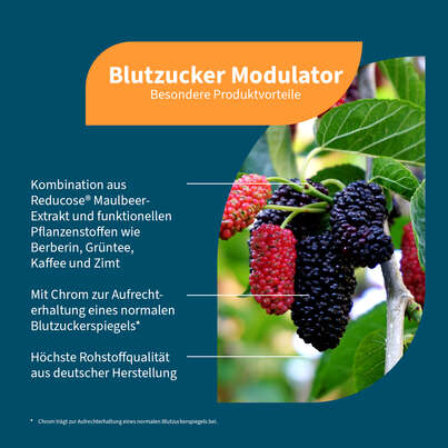 NatuGena Blutzucker Modulator Kapseln, A-Nr.: 6035985 - 02