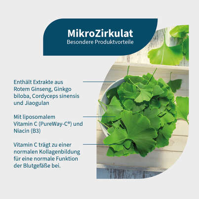 Sie sehen eine Packung NatuGena MikroZirkulat Kapseln, Produktbild: 02 NatuGena MikroZirkulat Kapseln, A-Nr.: 6040319 - 02