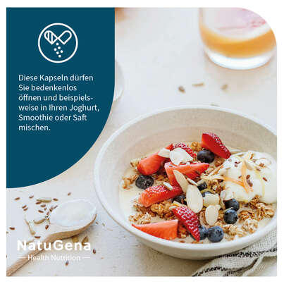 Sie sehen eine Packung NatuGena Roter Ginseng Kapseln, Produktbild: 07 NatuGena Roter Ginseng Kapseln, A-Nr.: 6036051 - 07