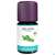 Sie sehen eine Packung Taoasis Baldini Bioaroma Rosmarin 5ml, Produktbild: 02 Taoasis Baldini Bioaroma Rosmarin 5ml, A-Nr.: 4621242 - 02