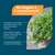 NatuGena Bio-Oregano- &amp; Schwarzkümmelöl, A-Nr.: 6139360 - 02