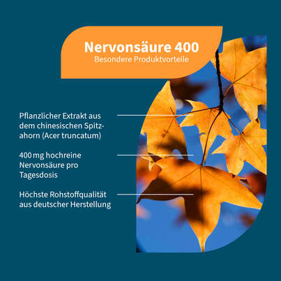 Sie sehen eine Packung NatuGena Nervonsäure 400 Kapseln, Produktbild: 02 NatuGena Nervonsäure 400 Kapseln, A-Nr.: 6040302 - 02