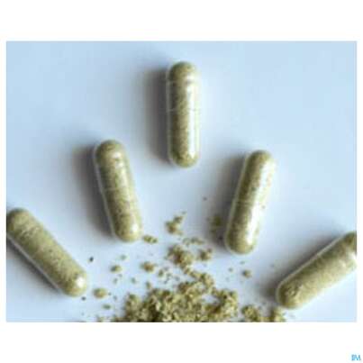Moringa Powder Capsules 60 Stk., A-Nr.: 4583412 - 04