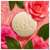Seifen Roger &amp; Gallet Wellbeing/soap/box Heritage Rose The 100g, A-Nr.: 5733492 - 04