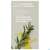 Sie sehen eine Packung Weleda Conditioner Rosmarin Revitalizing 150ml, Produktbild: 05 Weleda Conditioner Rosmarin Revitalizing 150ml, A-Nr.: 5911108 - 05