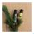 Primavera Bio-pflegeoel Johanniskraut 100ml, A-Nr.: 2859761 - 04