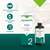 Apozema® Nr. 02 Allergie-Tropfen, A-Nr.: 0988023 - 04