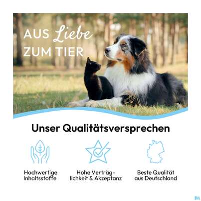 Veterinaerprodukte Pha Augenpflege Hund +katze Lösung 20ml, A-Nr.: 4996798 - 07