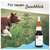 Veterinaerprodukte Pha Augenpflege Hund +katze Lösung 20ml, A-Nr.: 4996798 - 09