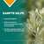 Apozema® Nr. 04 Appetit-Tropfen, A-Nr.: 0745444 - 03