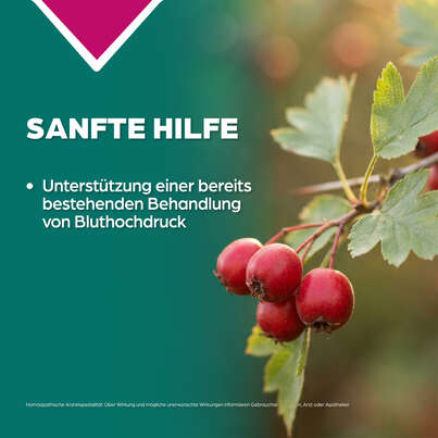 Sie sehen eine Packung Apozema® Nr. 10 Bluthochdruck-Tropfen, Produktbild: 03 Apozema® Nr. 10 Bluthochdruck-Tropfen, A-Nr.: 0987880 - 03