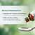 Apozema® Nr. 11 Blutniederdruck-Tropfen, A-Nr.: 0987816 - 05