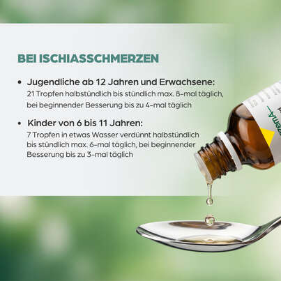 Sie sehen eine Packung Apozema® Nr. 20 Ischias-Tropfen, Produktbild: 05 Apozema® Nr. 20 Ischias-Tropfen, A-Nr.: 0987733 - 05