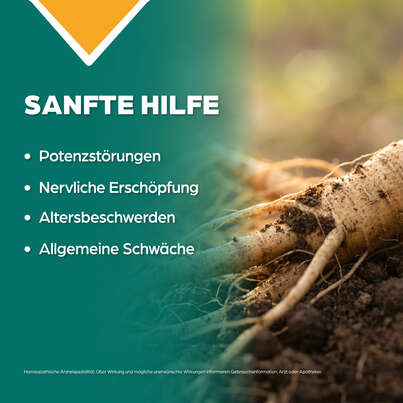 Sie sehen eine Packung Apozema® Nr. 32 Stärkungs-Tropfen für Männer, Produktbild: 03 Apozema® Nr. 32 Stärkungs-Tropfen für Männer, A-Nr.: 0987851 - 03