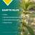 Apozema® Nr. 33 Stress- und Nerven-Tropfen, A-Nr.: 0982925 - 03