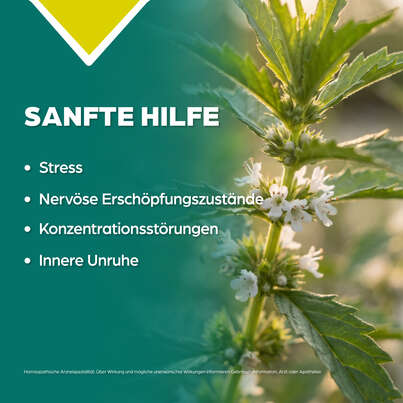 Apozema® Nr. 33 Stress- und Nerven-Tropfen, A-Nr.: 0982925 - 03