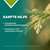 Apozema® Nr. 40 Psoriasis-Tropfen, A-Nr.: 1291175 - 03