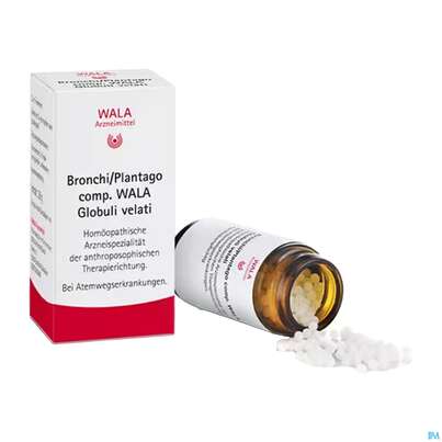 Sie sehen eine Packung Bronchi Plantago Comp Wala Globuli 20g, Produktbild: 04 Bronchi Plantago Comp Wala Globuli 20g, A-Nr.: 2053182 - 04