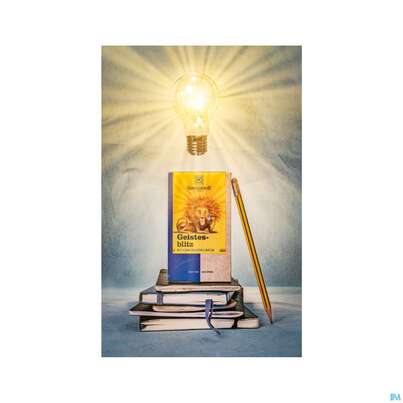 Sonnentor Tee/bio Geistesblitz 02316 18st, A-Nr.: 5742338 - 05