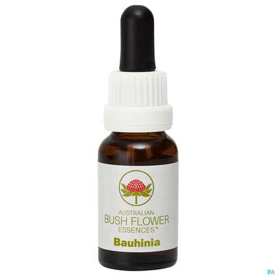 Sie sehen eine Packung Aub Bauhinia, Produktbild: 02 Aub Bauhinia, A-Nr.: 2626844 - 02
