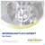 Beba Pre Von Geburt An 14507912 1 Stu 800g, A-Nr.: 2680921 - 07
