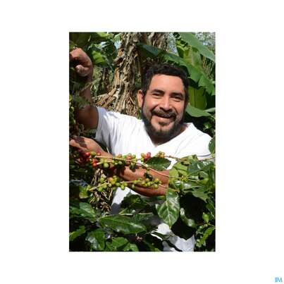 Sonnentor Gruener Kaffee Bio Aufgussbeutel 02906 18st, A-Nr.: 4276006 - 08