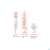 Avene Gesichtswasser Basislinie 200ml, A-Nr.: 5899034 - 10