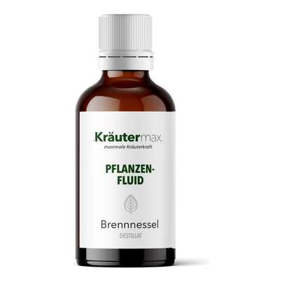 Sie sehen eine Packung Brennnessel Tropfen Fluid 50 ml, Produktbild: 01 Brennnessel Tropfen Fluid 50 ml, A-Nr.: 4317633 - 01