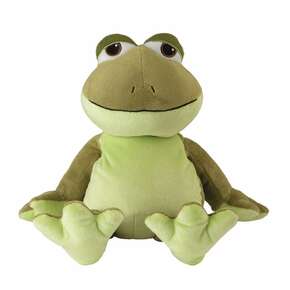 Sie sehen eine Packung Frosch II, Produktbild: 01 Frosch II, A-Nr.: 5629493 - 01