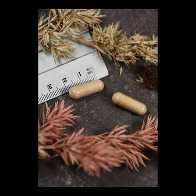 Supplementa Vitamin C 500 mg mit Hagebutte &amp; Acerola, verz. Abgabe Kapseln, A-Nr.: 5574881 - 04