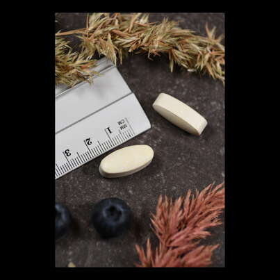 Sie sehen eine Packung Supplementa C 1000 Buffered Acid free säurefrei Tabletten, Produktbild: 04 Supplementa C 1000 Buffered Acid free säurefrei Tabletten, A-Nr.: 5396095 - 04