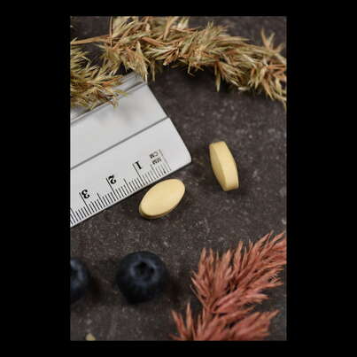 Sie sehen eine Packung Supplementa P-5-P (Pyridoxal-5-Phosphat) 20 mg Tabletten, Produktbild: 04 Supplementa P-5-P (Pyridoxal-5-Phosphat) 20 mg Tabletten, A-Nr.: 5396333 - 04