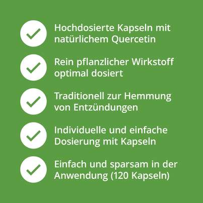 Quercetin Kapseln 500 mg hochdosiert, A-Nr.: 5629412 - 02