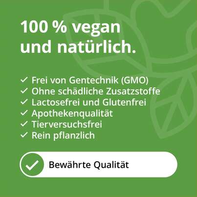 Quercetin Kapseln 500 mg hochdosiert, A-Nr.: 5629412 - 04