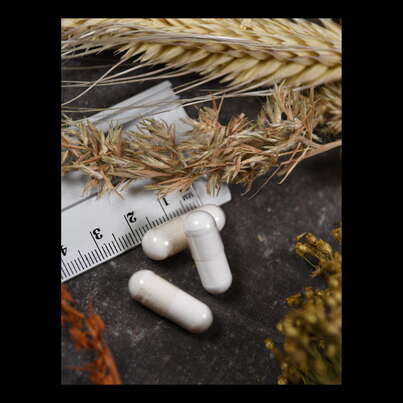 Sie sehen eine Packung Supplementa Propionsäure 500 mg Kapseln, Produktbild: 05 Supplementa Propionsäure 500 mg Kapseln, A-Nr.: 5596977 - 05