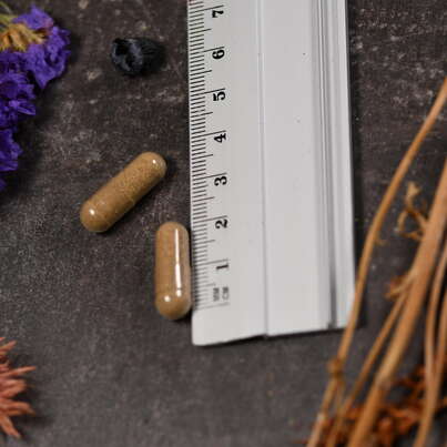 Supplementa Olivenblattextrakt 250 mg Kapseln, A-Nr.: 5574361 - 04