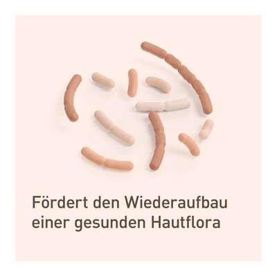 Nupure probaderm probiotische Intensivcreme, A-Nr.: 5778939 - 04