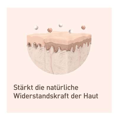 Nupure probaderm probiotische Intensivcreme, A-Nr.: 5778939 - 05