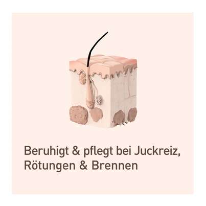 Nupure probaderm probiotische Intensivcreme, A-Nr.: 5778939 - 07