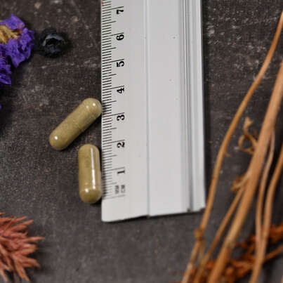 Supplementa Neem-Blätter 400 mg Kapseln, A-Nr.: 5574326 - 04